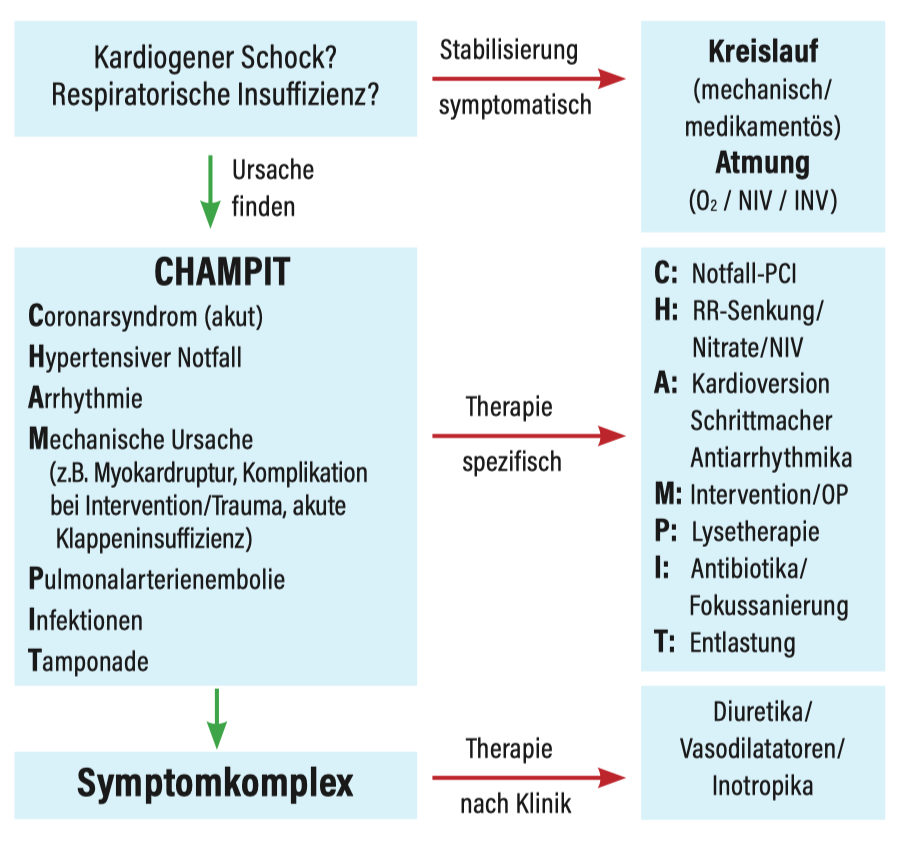 CHAMPIT2