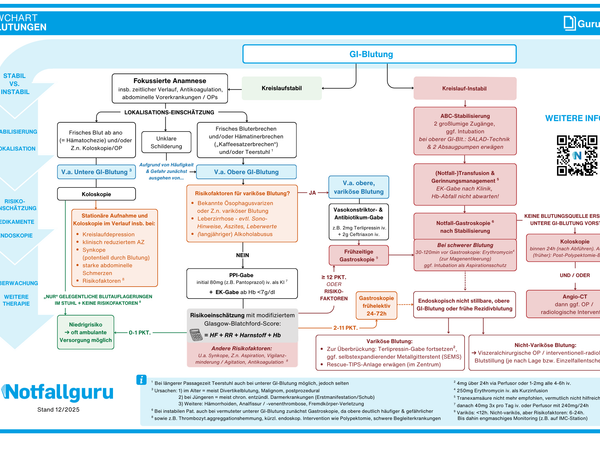 Gastrointestinale Blutungen (Flowchart)