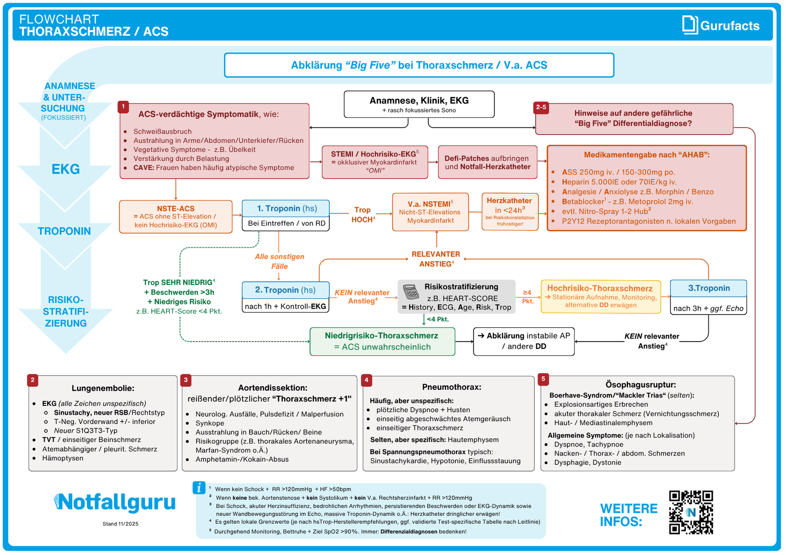 Thoraxschmerz und ACS (Flowchart)