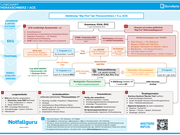 Thoraxschmerz und ACS (Flowchart)