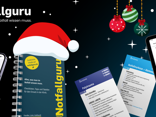 Weihnachtsgeschenke, die ankommen: “Notfallguru” und “Gurucards”