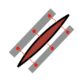 Pergamenthaut