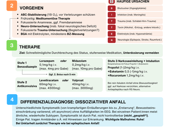 Status Epilepticus