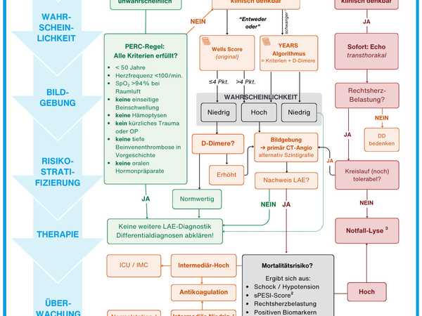 Lungenembolie (Flowchart)