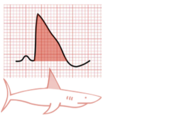Sharkfin